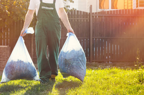 Best Affordable Junk Removal Services  in Somerset, PA